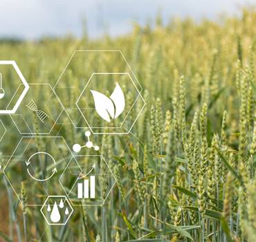 Agriculture Services
