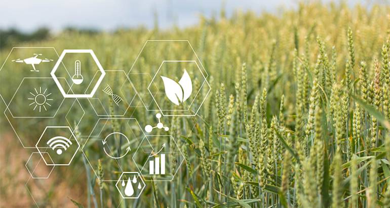 Agriculture Services