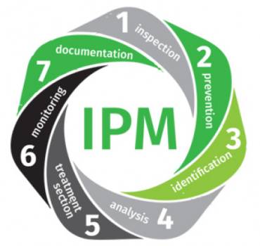 IPM